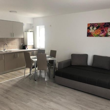 Elena-Maria Apartments Buşteni エクステリア 写真