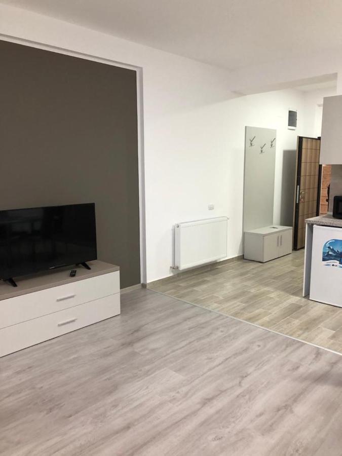 Elena-Maria Apartments Buşteni エクステリア 写真