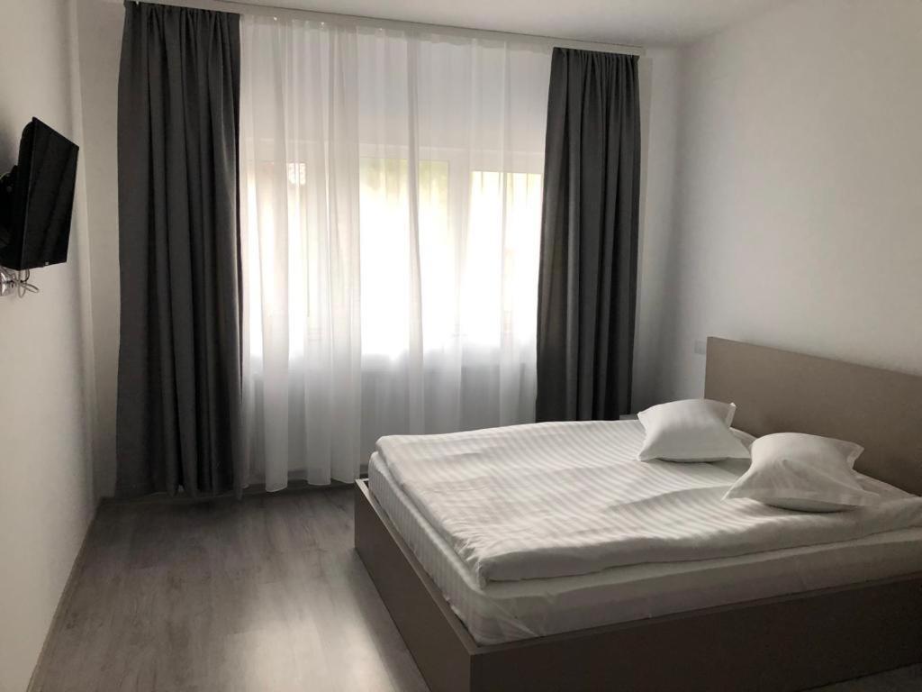 Elena-Maria Apartments Buşteni エクステリア 写真