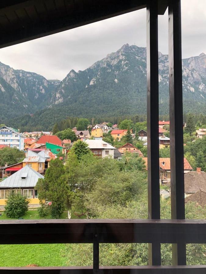 Elena-Maria Apartments Buşteni エクステリア 写真