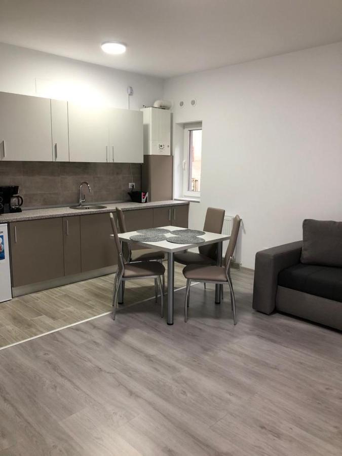 Elena-Maria Apartments Buşteni エクステリア 写真