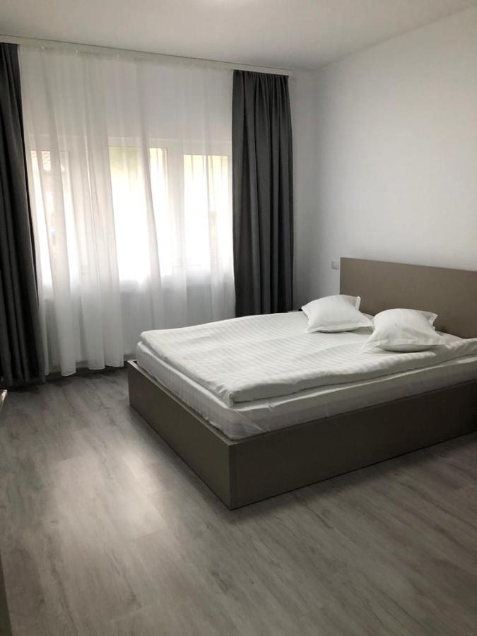 Elena-Maria Apartments Buşteni エクステリア 写真