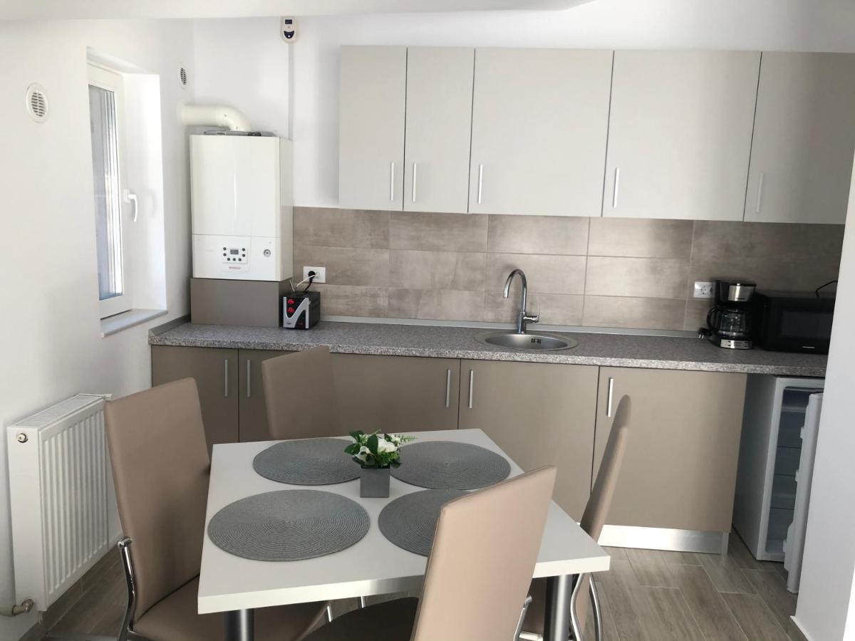 Elena-Maria Apartments Buşteni エクステリア 写真