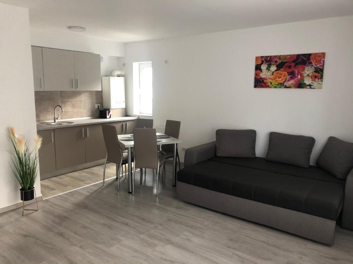 Elena-Maria Apartments Buşteni エクステリア 写真
